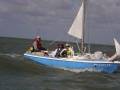 Dolphin 17 (daysailor version) Sailboat by Silverline Boats